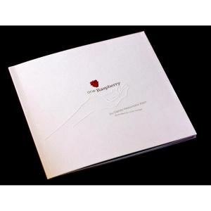 imageOne Raspberry