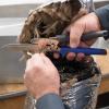 imageKlein Tools DK06 Knife Serrated Stainless Steel Duct Knife for Flexible Duct and Board with SheathDuct Knife with Wire Cutter