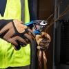 imageKlein Tools 63016 Cable Cutter HeavyDuty Cable Shears cut ACSR Steel and Most Hardened Wire with Convenient Lock for Storage Blue