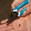 imageKlein Tools K11095 KleinKurve Wire Stripper and Cutter for 818 AWG Solid and 1020 AWG Stranded WireCutter